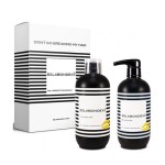 ESLABONDEXX Zestaw Connector 500ml + Amplifier 500ml PLEX